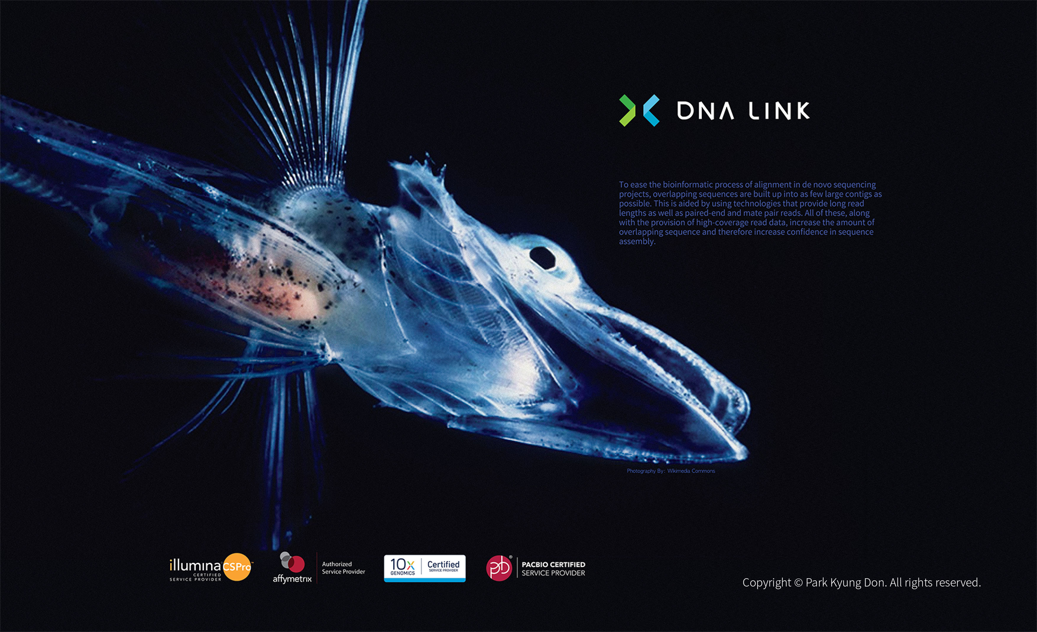 DNALINK 14