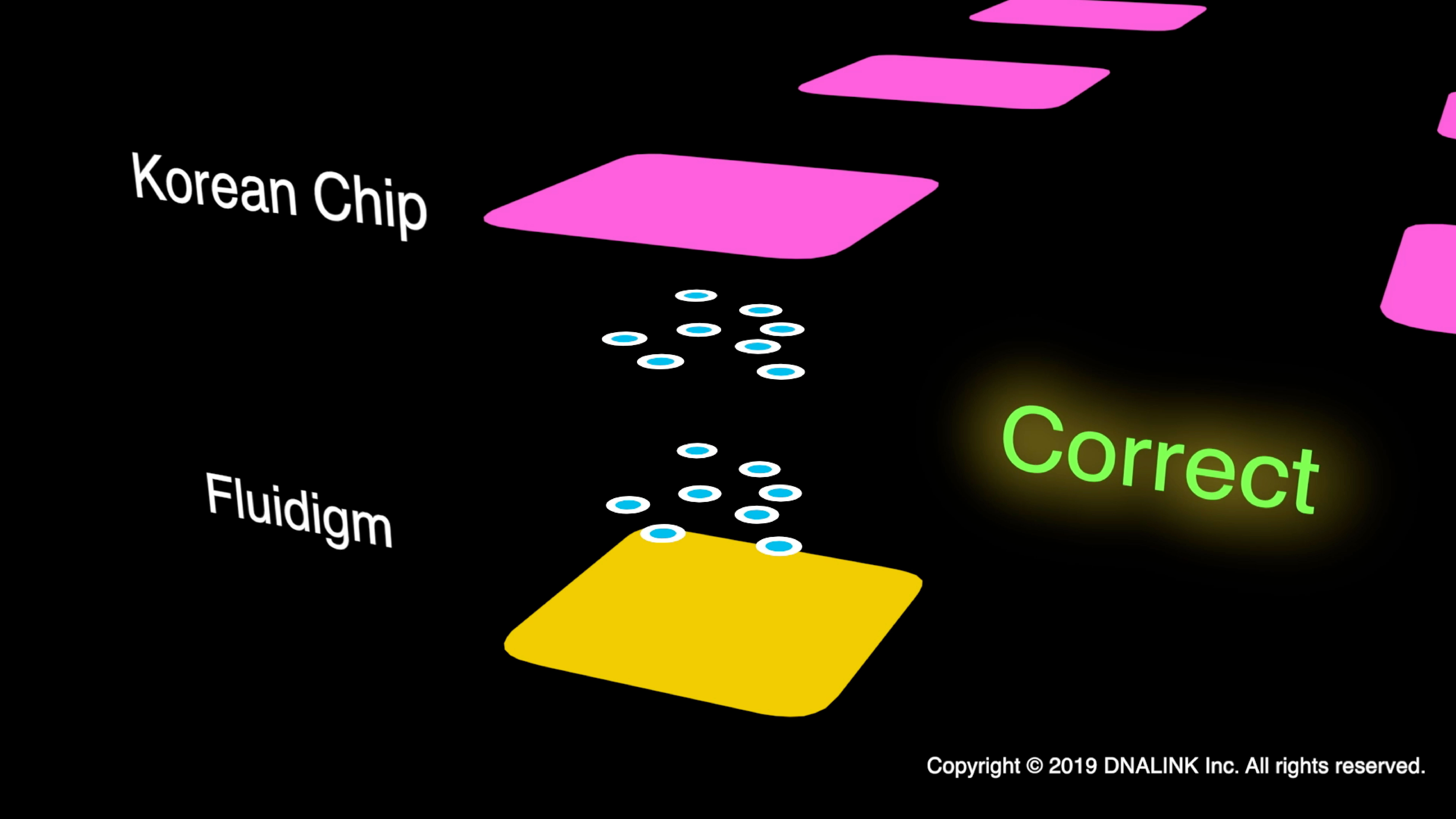 Korean Chip